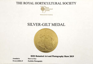 RHS Silver Gilt