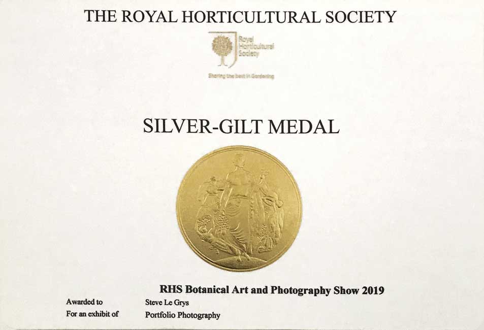 RHS Silver Gilt